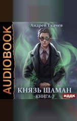 обложка книги Ткачев Андрей "Князь шаман. Книга 7"
