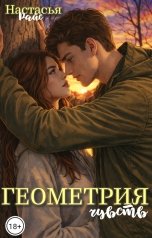 обложка книги Настасья Райс "Геометрия чувств"