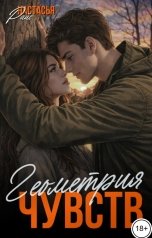 обложка книги Настасья Райс "Геометрия чувств"