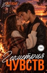 обложка книги Настасья Райс "Геометрия чувств"