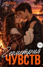 обложка книги Настасья Райс "Геометрия чувств"