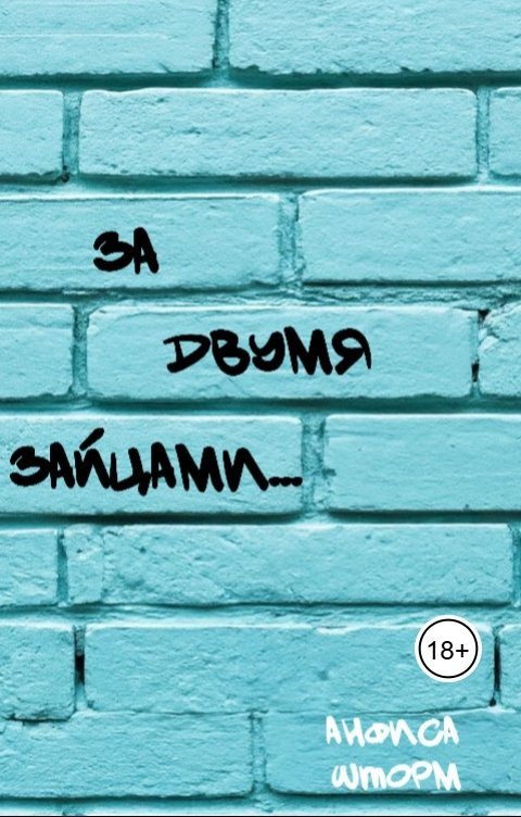 Обложка книги Анфиса Шторм За двумя зайцами...