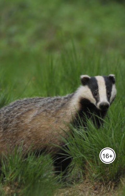 Обложка книги Александр Посохов Экономические басни Посохова