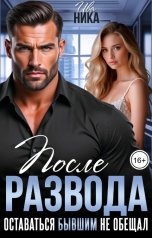 обложка книги Ива Ника "После развода. Оставаться бывшим не обещал"