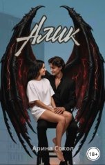 обложка книги Арина Сокол "Алик"