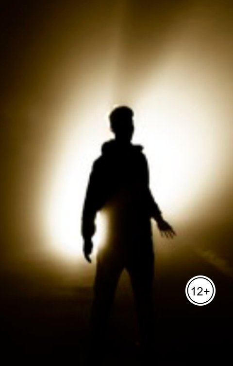 Обложка книги Фео Light (Свет)