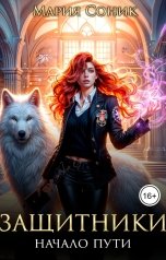 обложка книги Мария Соник "Защитники - начало пути"