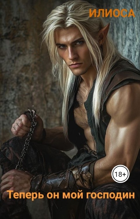 Обложка книги Илиоса Теперь он мой господин