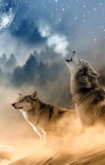 обложка книги Галина Емельянова "Еркебулан .Степная быль"