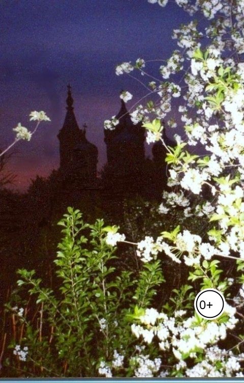 Обложка книги Dysha27 Запомнить дорогу домой