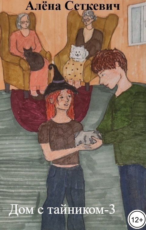 Обложка книги Алёна Сеткевич Дом с тайником-3