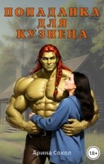 обложка книги Арина Сокол "Попаданка для кузнеца"