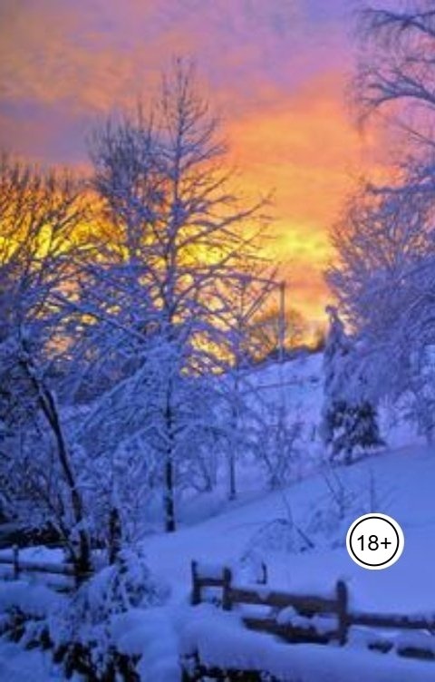 Обложка книги Lidia Zhiglova Рыжий лебедь