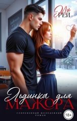 обложка книги Ми Рей "Льдинка для мажора"