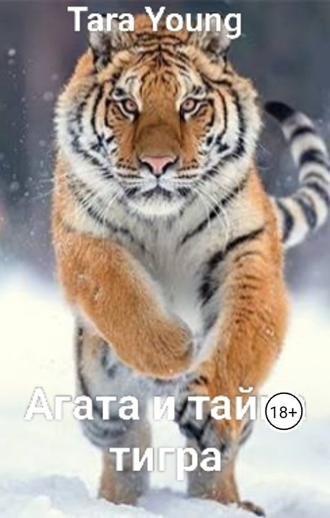 Обложка книги Tara Young Агата и тайна тигра