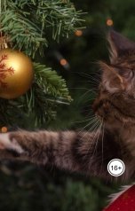 обложка книги Натали Натали "прпрпрпр"