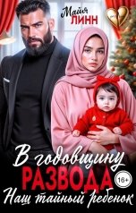 обложка книги Майя Линн "В годовщину развода. Наш тайный ребёнок"