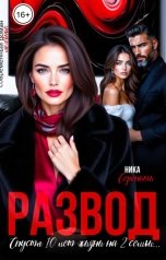 обложка книги Ника Серенити "Развод. Спустя 10 лет жизни на 2 семьи."