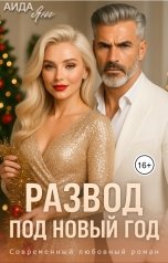 обложка книги Аида Янг "Развод. Под Новый год"