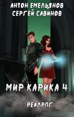 обложка книги Антон Емельянов и Сергей Савинов "Мир Карика 4"