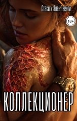 обложка книги Стаси и Элен Твенти "Коллекционер"