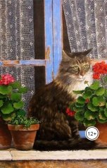 обложка книги Anton Cherepanov "Не могу забыть кошку"