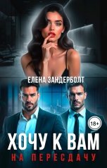 обложка книги Елена Зандерболт "Хочу к вам на пересдачу"