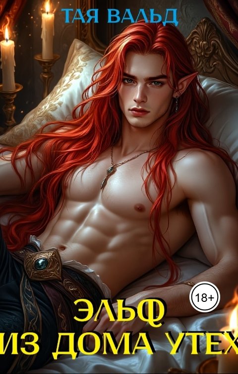 Обложка книги Тая Вальд Эльф из дома утех