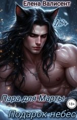 обложка книги Елена Валисент "Пара для Марты. Подарок небес."