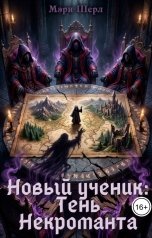обложка книги Мэри Шерл "Новый ученик: Тень Некроманта"
