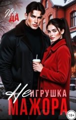 обложка книги ЖАДА "(Не) Игрушка Мажора"