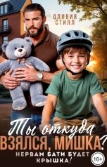обложка книги Оливия Стилл "Ты откуда взялся, Мишка? Нервам бати будет крышка!"