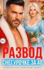 обложка книги Марго Фрай "Развод. Снегурочке за 40"