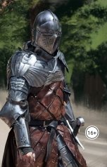 обложка книги Yaroslava Ivankovich "Цена доспеха"