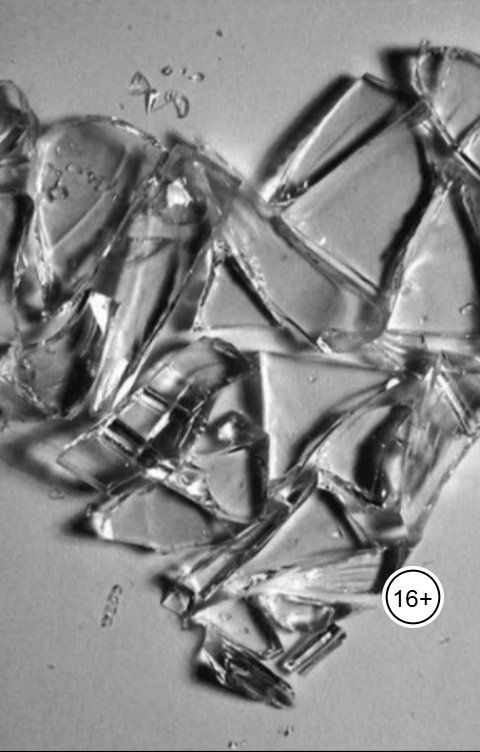 Обложка книги Анастасия Канителька Измена. То, что разбито - не склеить