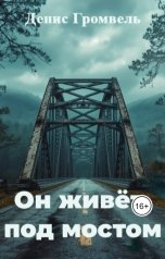 обложка книги Денис Громвель "Он живёт под мостом"