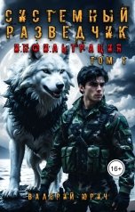 обложка книги Валерий Юрич "Системный разведчик. Инфильтрация."