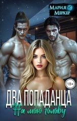 обложка книги Мария Меркер "Два попаданца на мою голову"