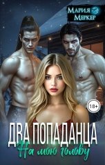 обложка книги Мария Меркер "Два попаданца на мою голову"
