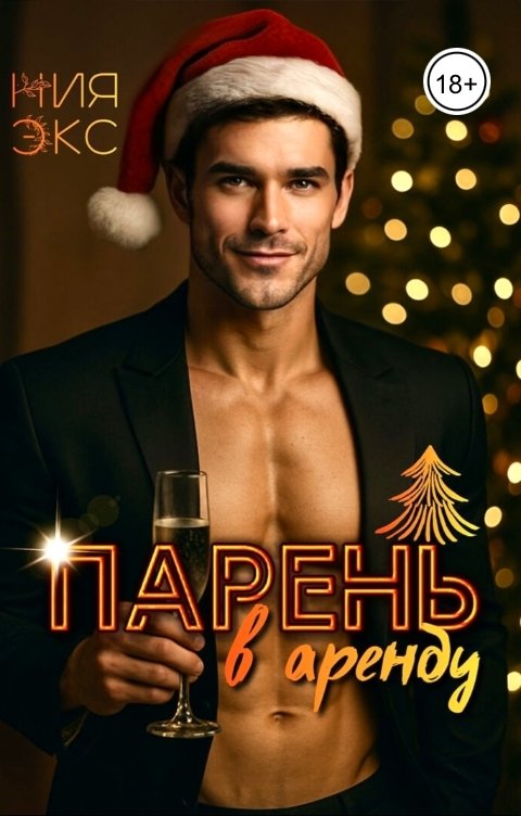 Обложка книги Ния Экс Парень в аренду