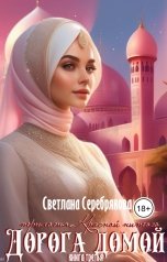 обложка книги Светлана Серебрякова и Ольга Берг "Дорога домой"