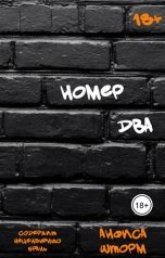 обложка книги Анфиса Шторм "Номер два"