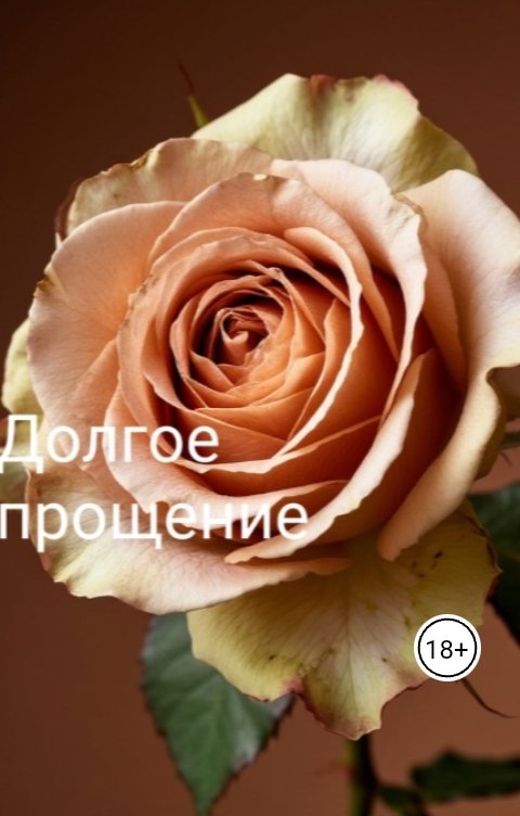 Обложка книги Лена Иванова Долгое прощение