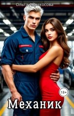 обложка книги Ольга Абрикосова "Механик"