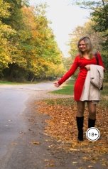 обложка книги Андрей Ланиус "Ищу неправую..."