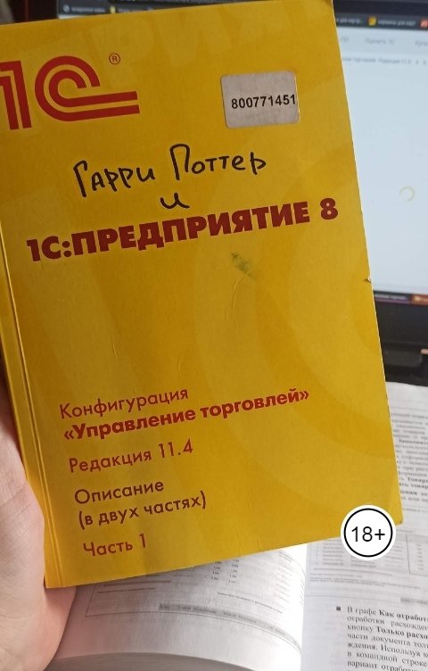 Обложка книги Андрей Ланиус Ищу неправую...