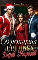обложка книги Анита Талая "Секретарша для двух Дедов Морозов"