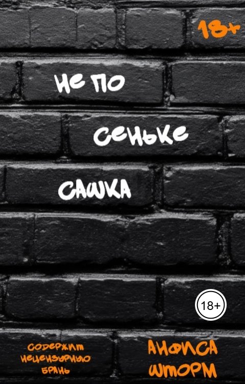 Обложка книги Анфиса Шторм Не по Сеньке Сашка