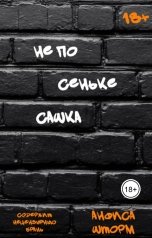обложка книги Анфиса Шторм "Не по Сеньке Сашка"