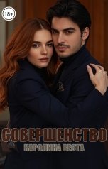 обложка книги Каролина Веста "Совершенство"